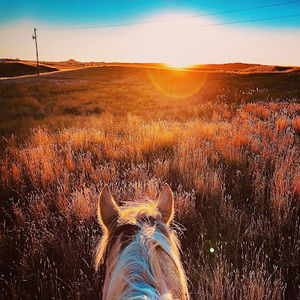 Meet your Posher, Bradie